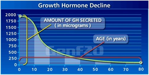 How to improve your supply of Human Growth Hormone?